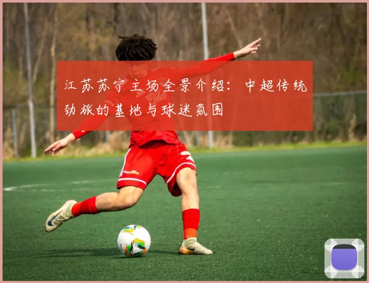 江苏苏宁主场全景介绍：中超传统劲旅的基地与球迷氛围