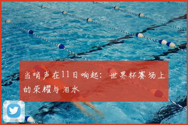 当哨声在11日响起：世界杯赛场上的荣耀与泪水