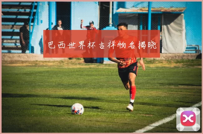 巴西世界杯吉祥物名揭晓