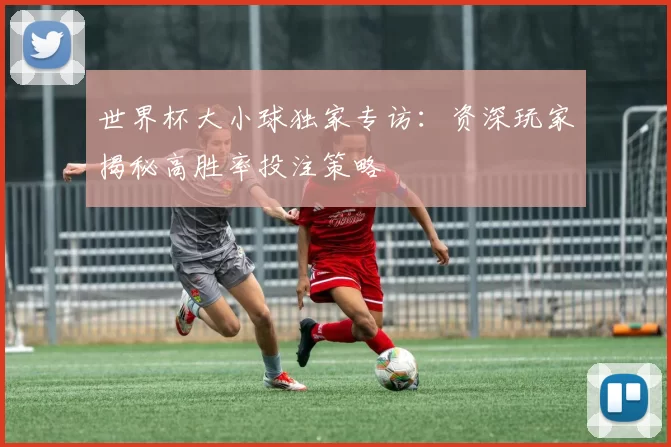 世界杯大小球独家专访：资深玩家揭秘高胜率投注策略