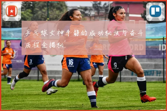 乒乓球女神李静的成功秘诀与奋斗历程全揭秘