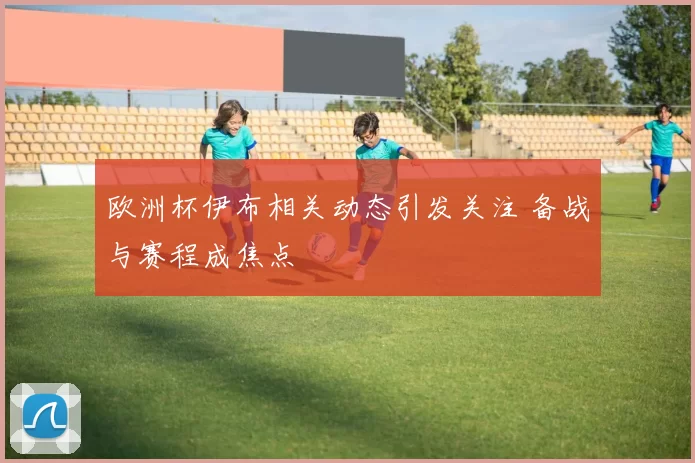 欧洲杯伊布相关动态引发关注 备战与赛程成焦点