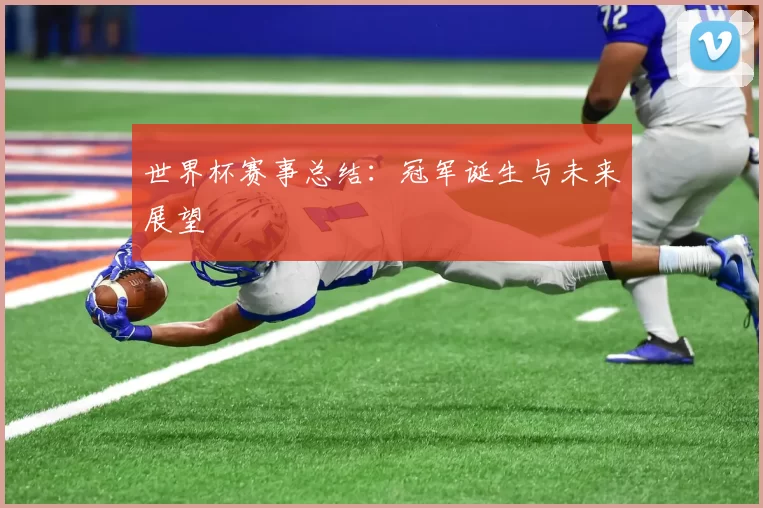 世界杯赛事总结：冠军诞生与未来展望