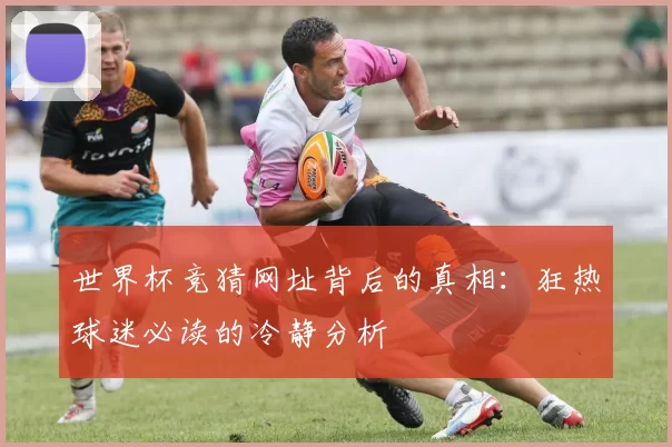 世界杯竞猜网址背后的真相：狂热球迷必读的冷静分析