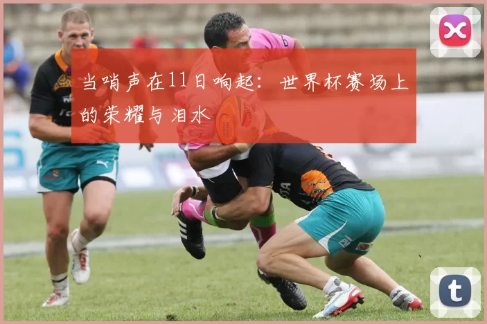 当哨声在11日响起：世界杯赛场上的荣耀与泪水
