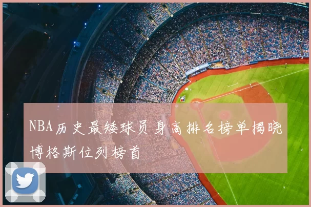 NBA历史最矮球员身高排名榜单揭晓博格斯位列榜首