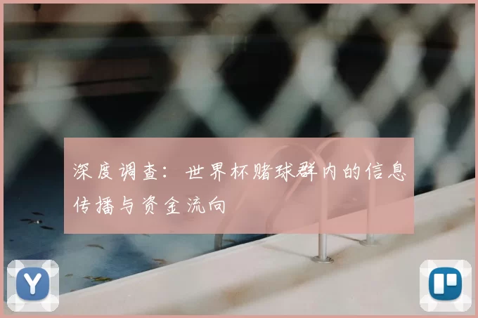 深度调查：世界杯赌球群内的信息传播与资金流向