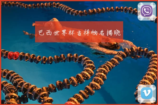 巴西世界杯吉祥物名揭晓