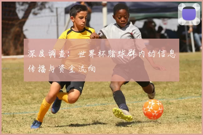 深度调查：世界杯赌球群内的信息传播与资金流向