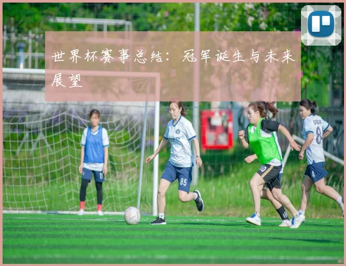 世界杯赛事总结:冠军诞生与未来展望