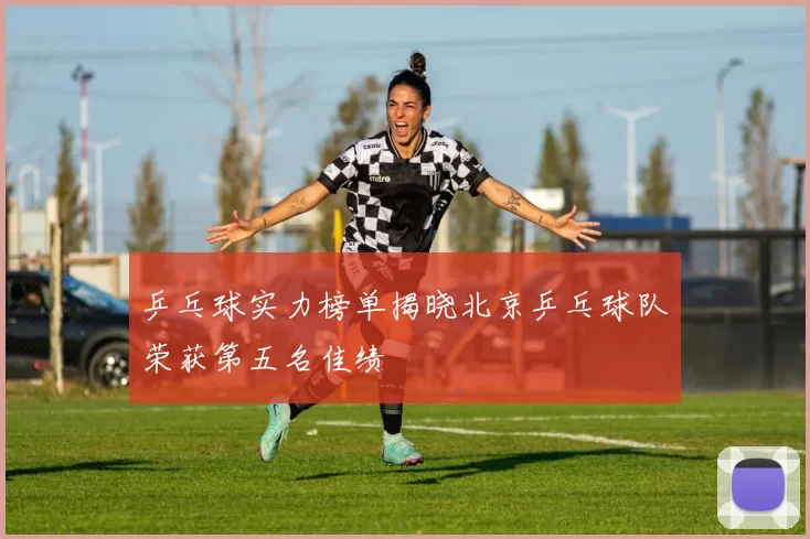 乒乓球实力榜单揭晓北京乒乓球队荣获第五名佳绩
