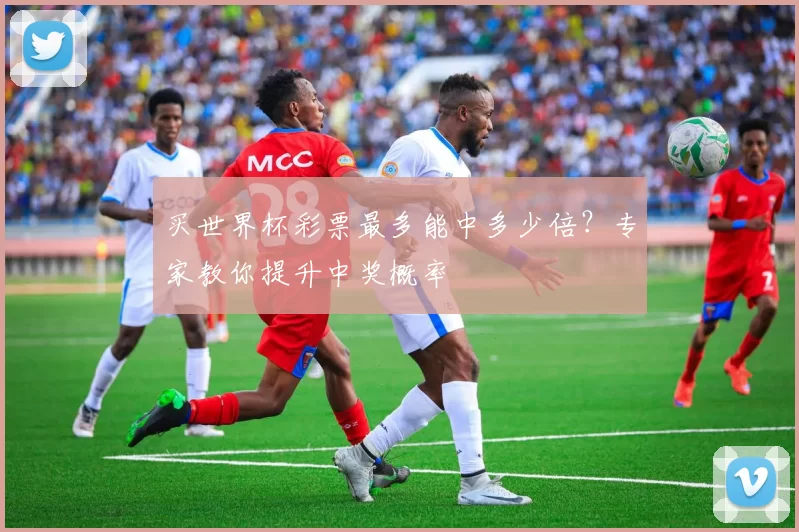 买世界杯彩票最多能中多少倍？专家教你提升中奖概率