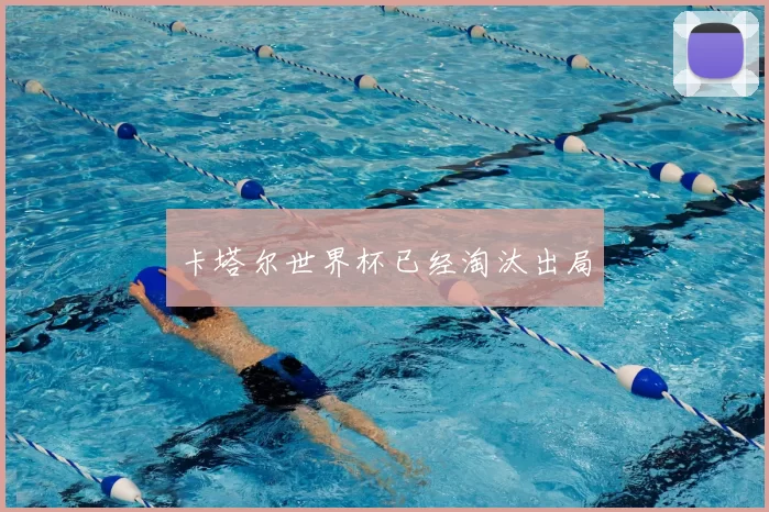 卡塔尔世界杯已经淘汰出局