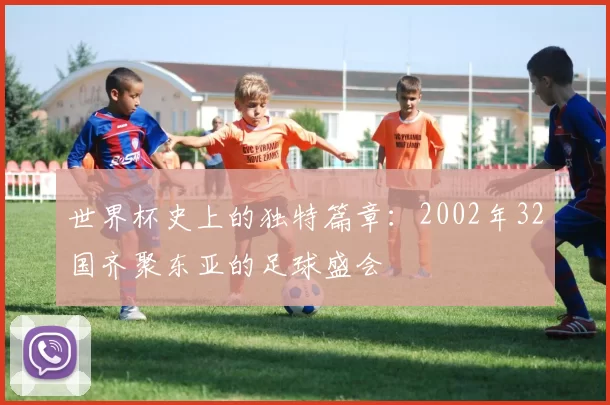 世界杯史上的独特篇章：2002年32国齐聚东亚的足球盛会