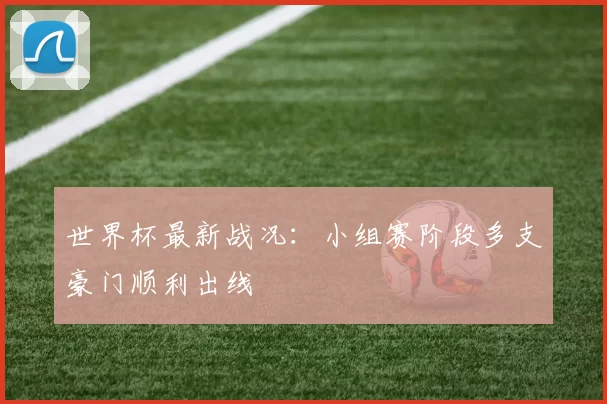 世界杯最新战况：小组赛阶段多支豪门顺利出线