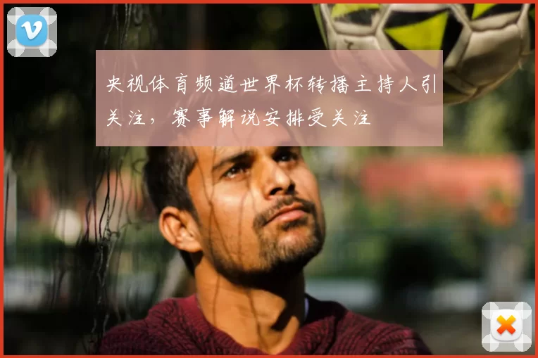 央视体育频道世界杯转播主持人引关注，赛事解说安排受关注